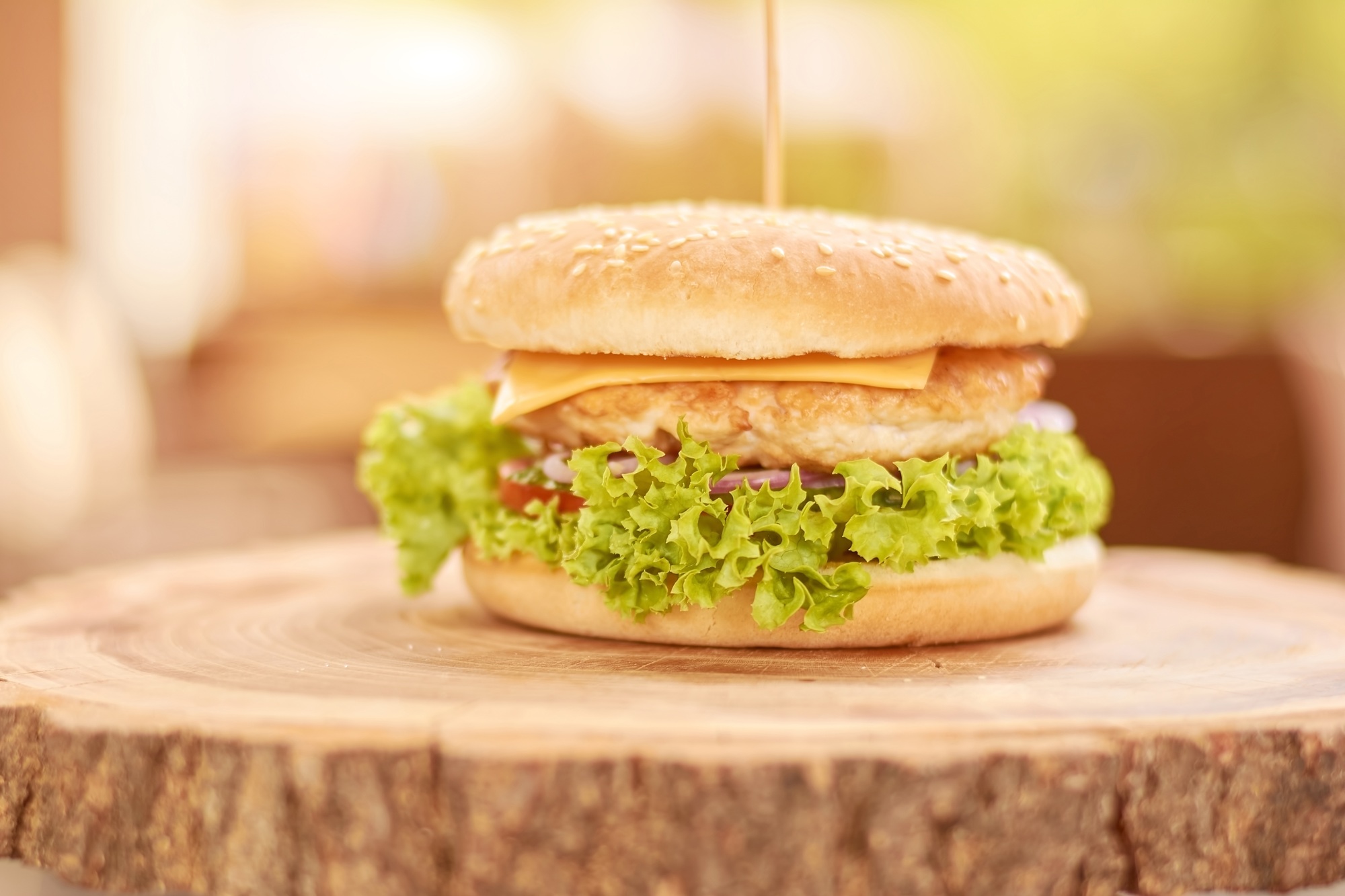 Delicious chicken burger with vegetables